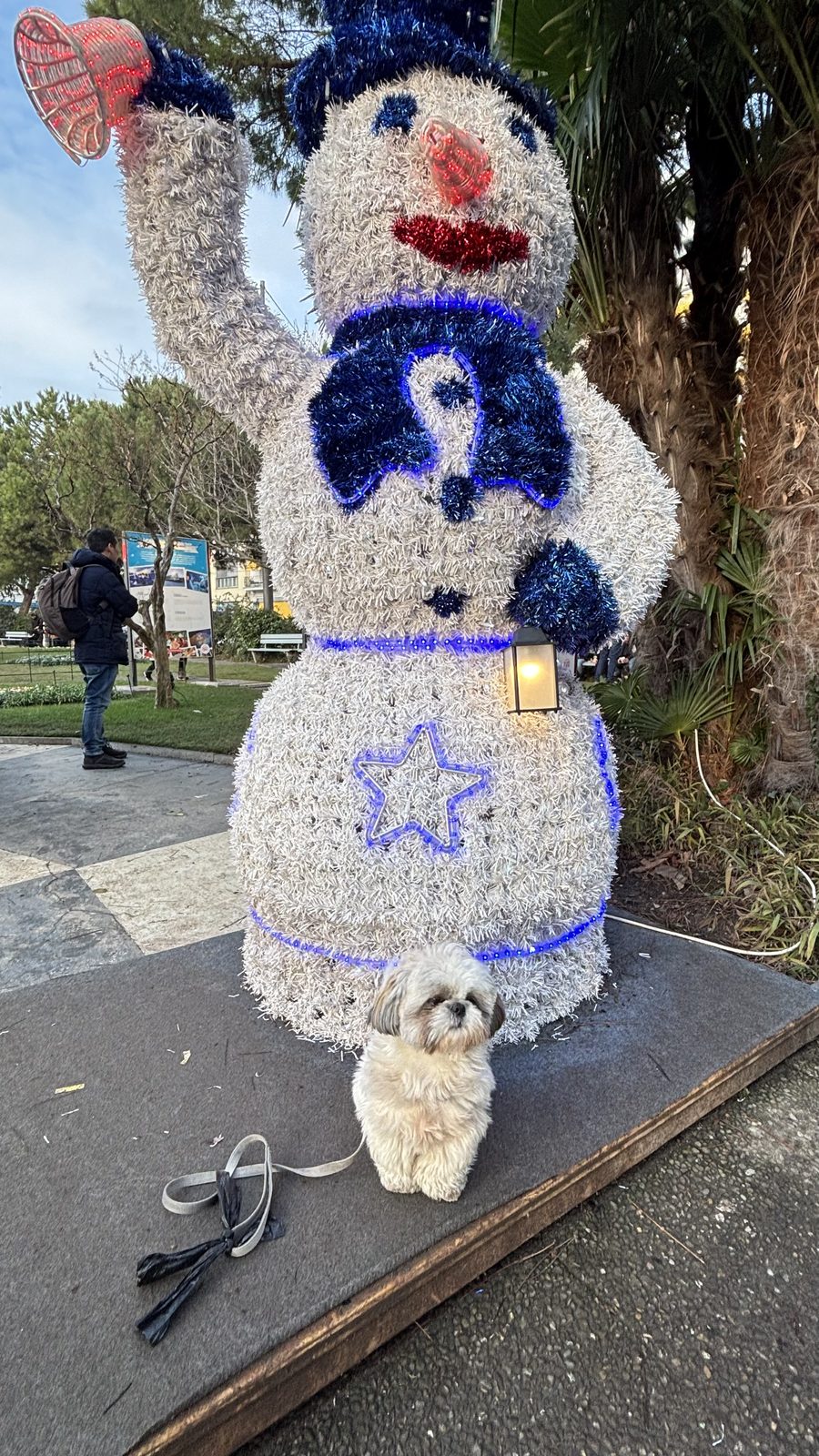 Daisy and the Montreux Noël snowman