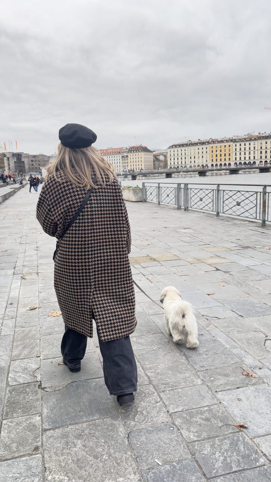 Walking Daisy along the waterfront in Geneva