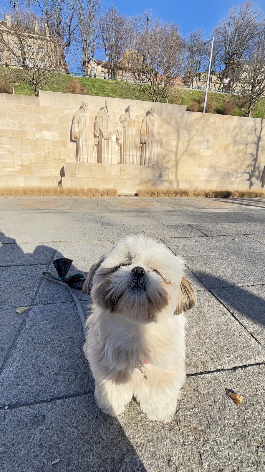 Daisy at the Reformation Wall in Geneva