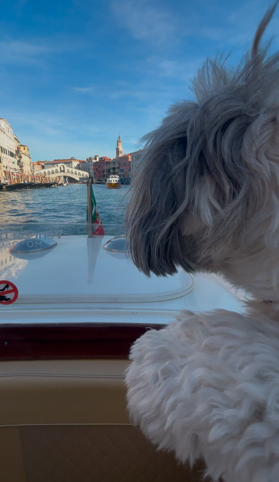 Watching the water from the window, the view a pet cabin gives you and a kennel doesn't