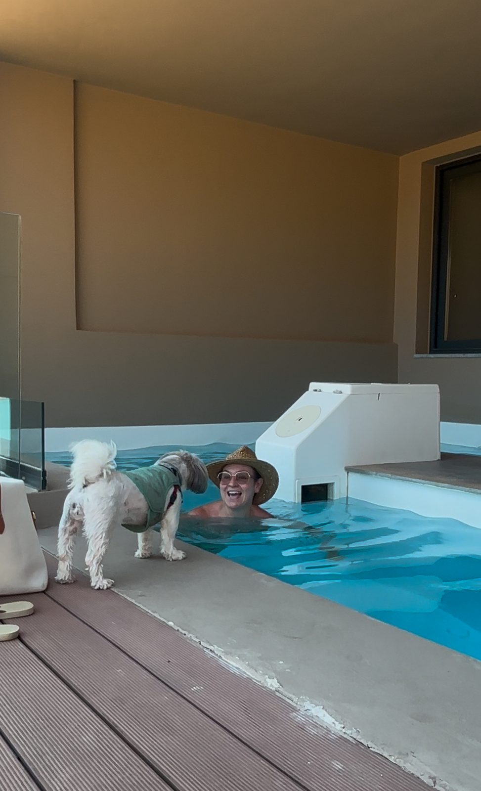The L shaped plunge pool at our dog friendly Sapphire Zen Suite: Cheryl's afternoon dip, closely supervised by Daisy