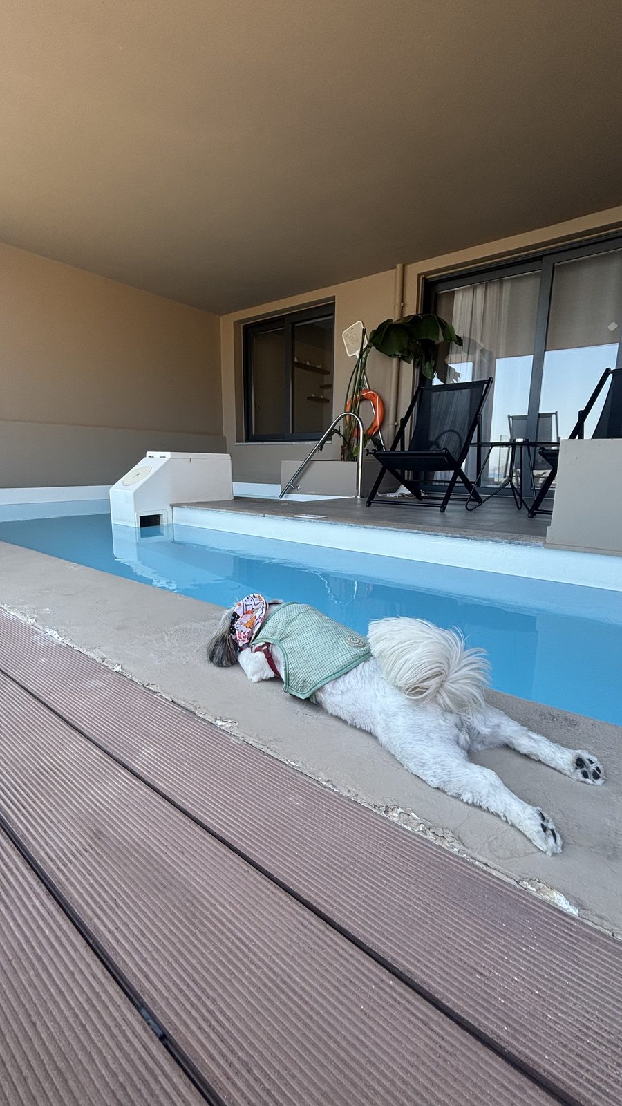 Post-swim recovery position