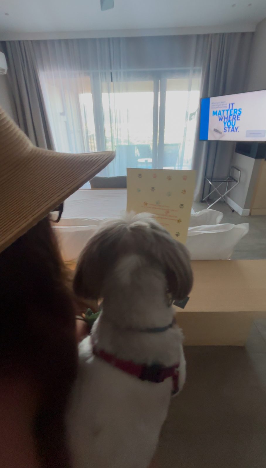 It matters where you stay. Daisy agrees.
