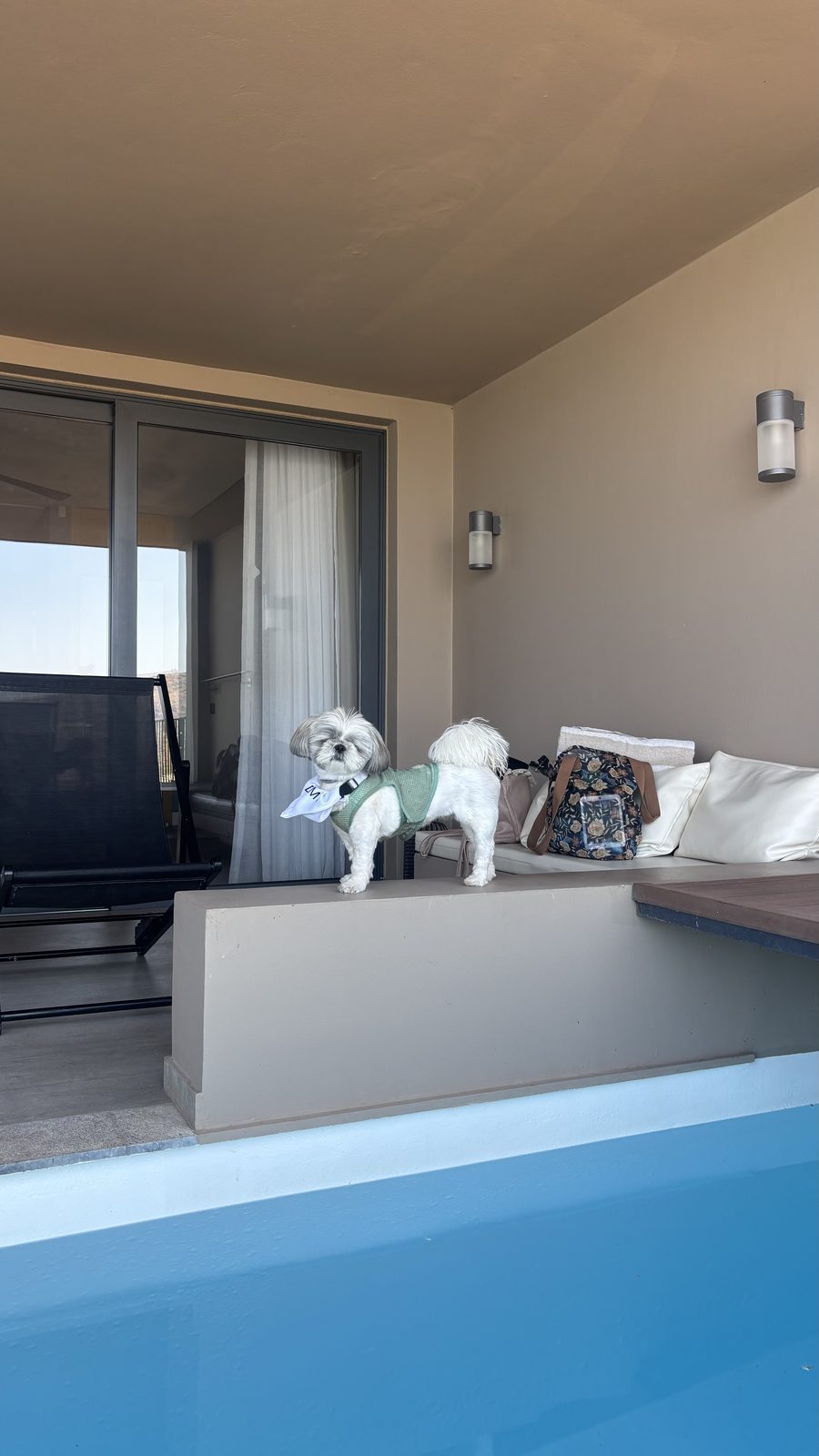 Poolside perch, suite edition