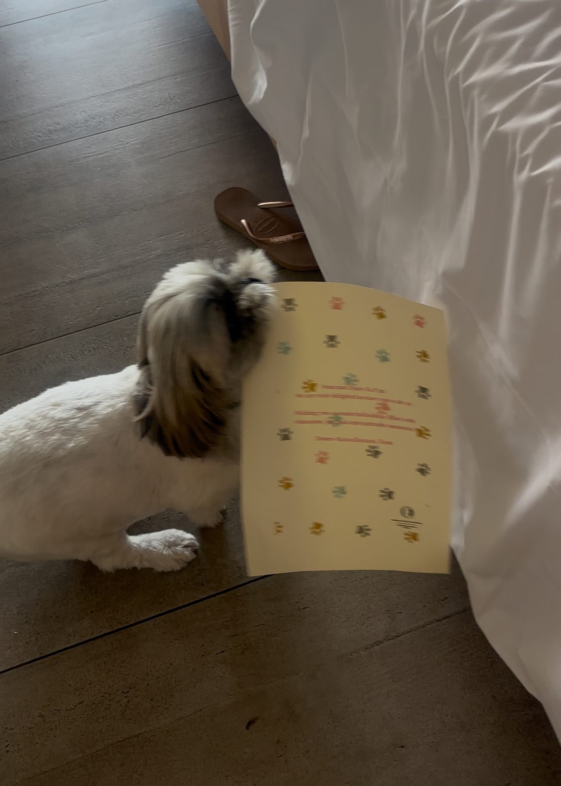 Daisy's own welcome letter at pet friendly Domes Aulus Elounda Crete