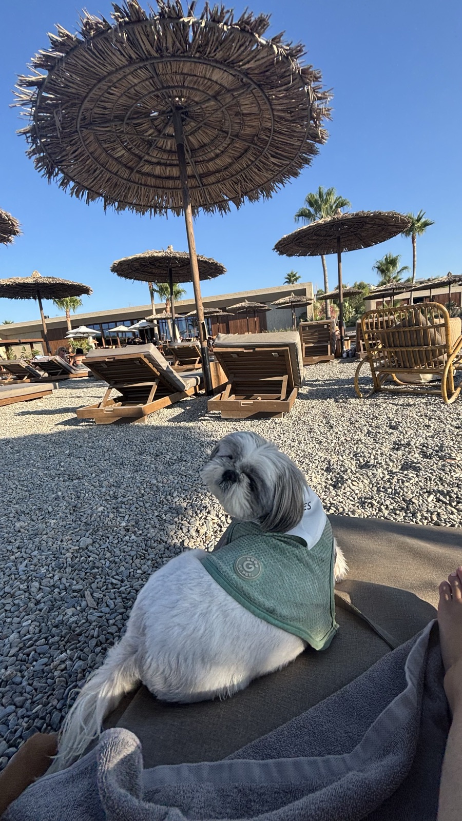 Front-row seat at the pool