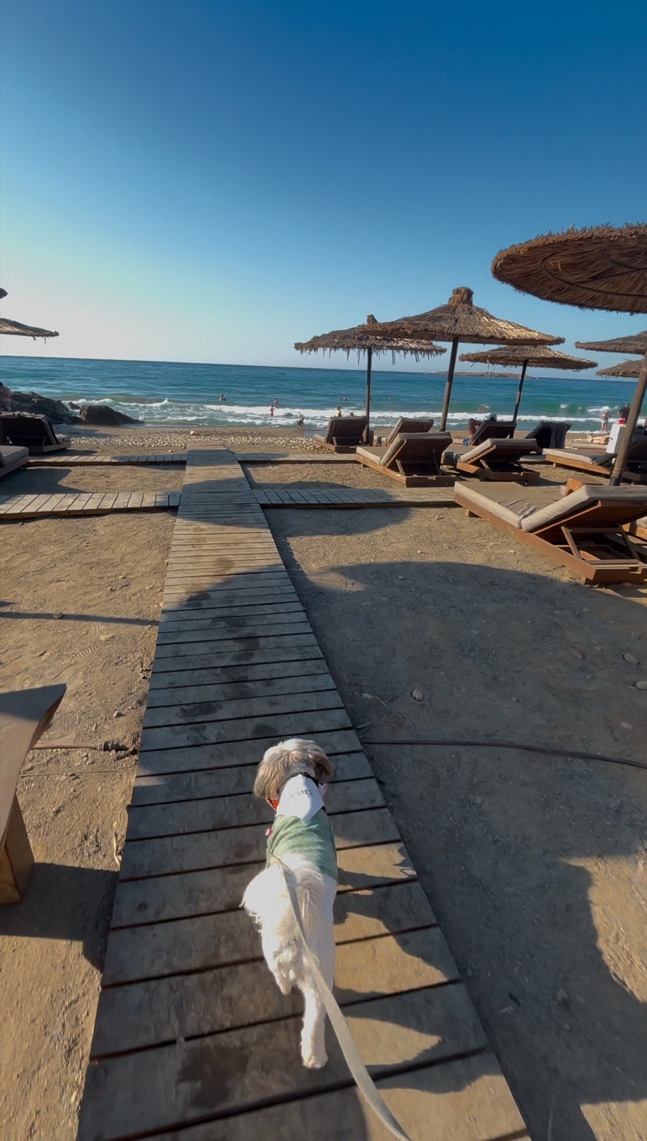 Daisy walking the quiet beach at Domes Zeen Chania in the morning