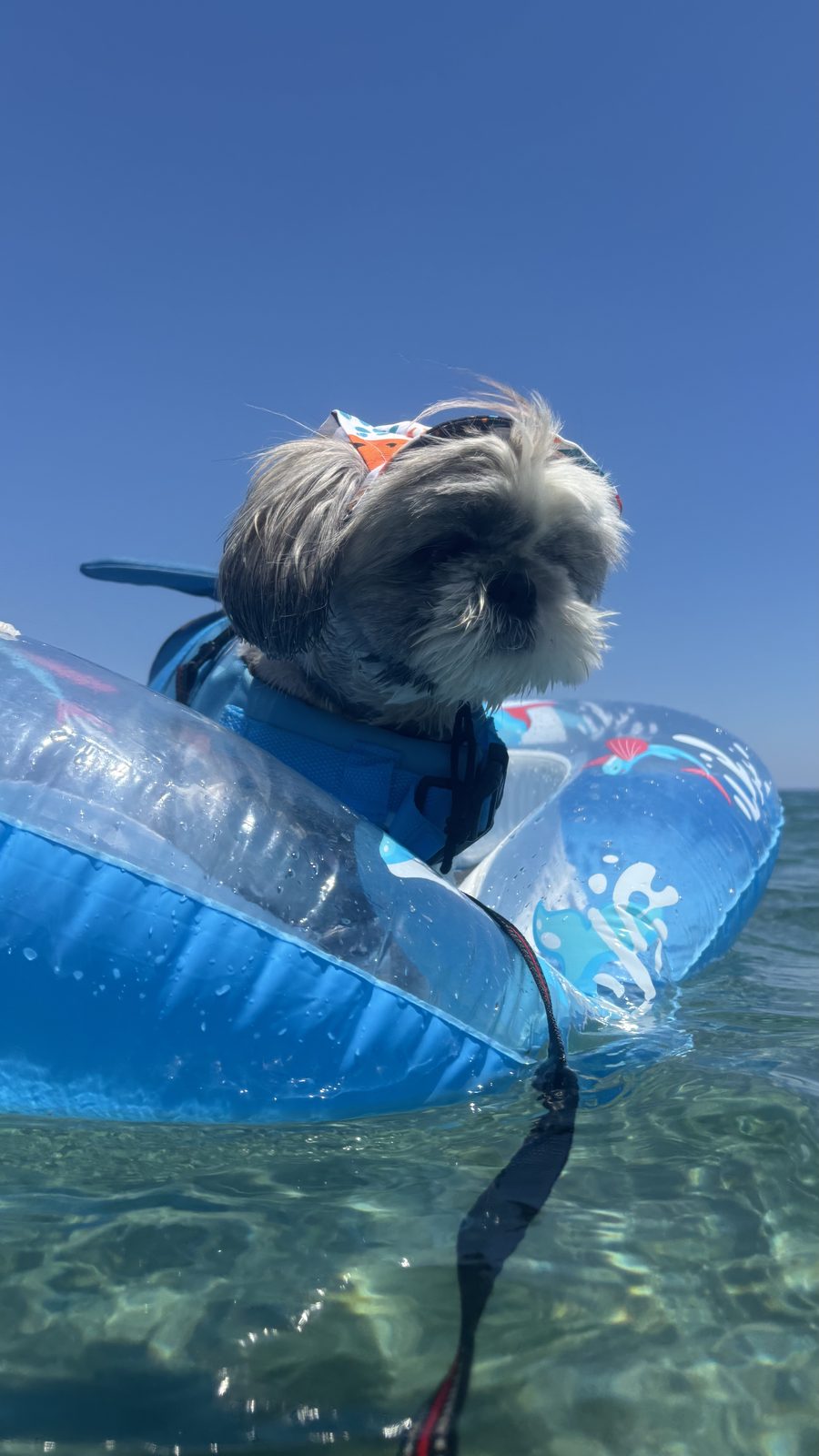 Swim time with the floaty
