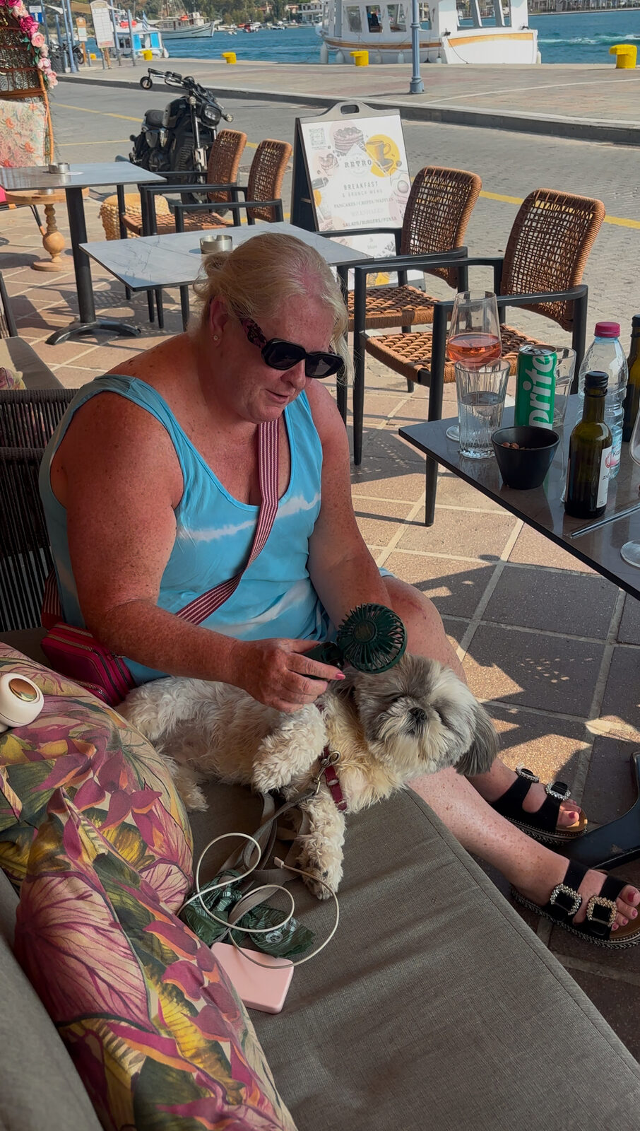 Nanny Sandra deploying the portable fan at Retro. Daisy did not ask for this service, but accepted it.