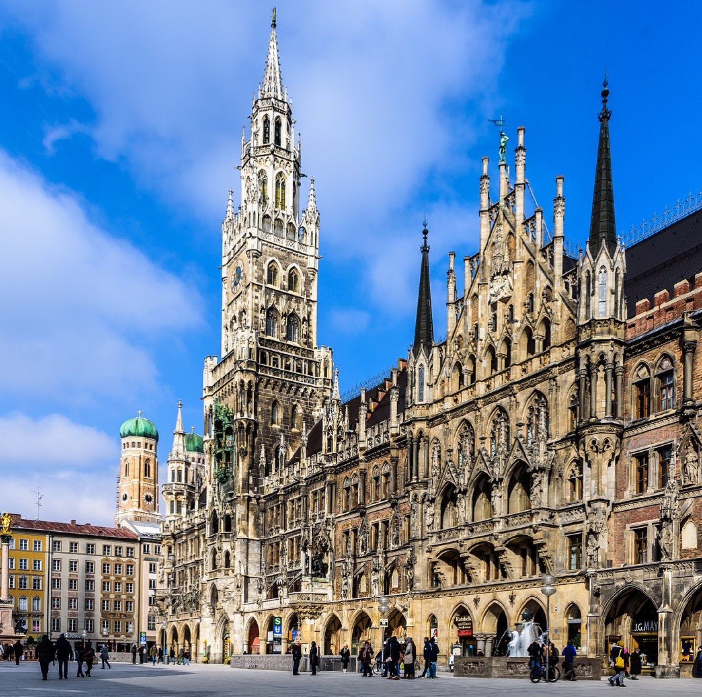 Vets in Germany for your dog's tapeworm tablet and passport stamp