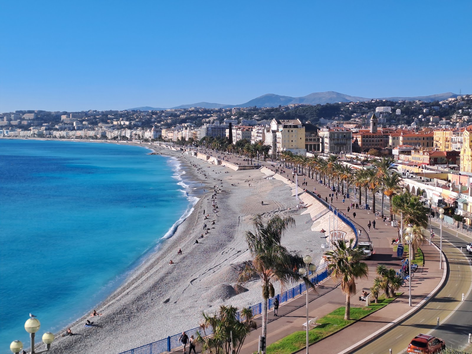 Vet in Nice for your dog's tapeworm tablet and passport stamp