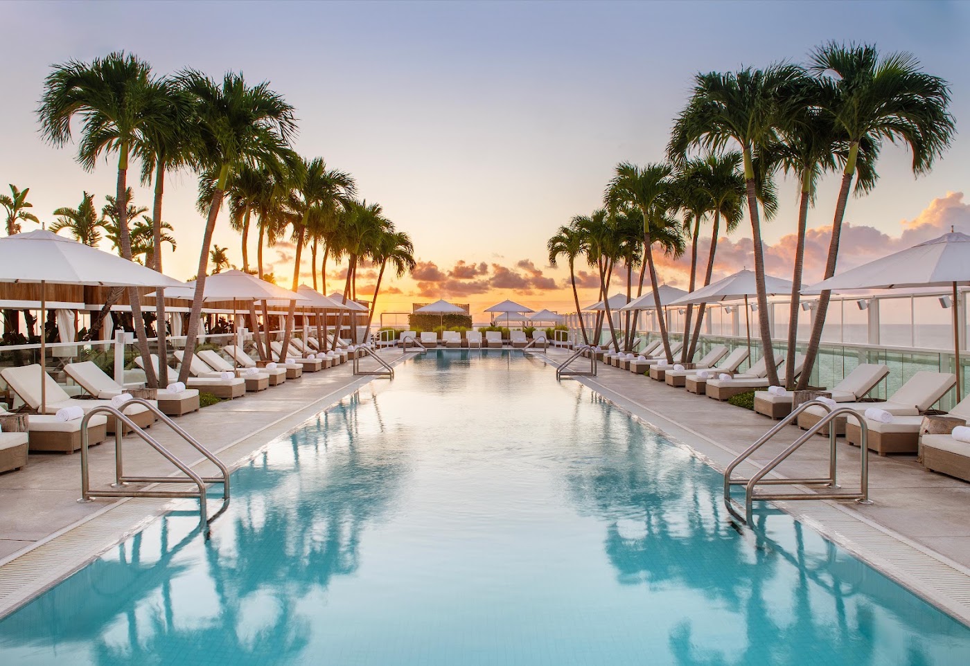 1 Hotel South Beach, dog-friendly hotel, photo 3