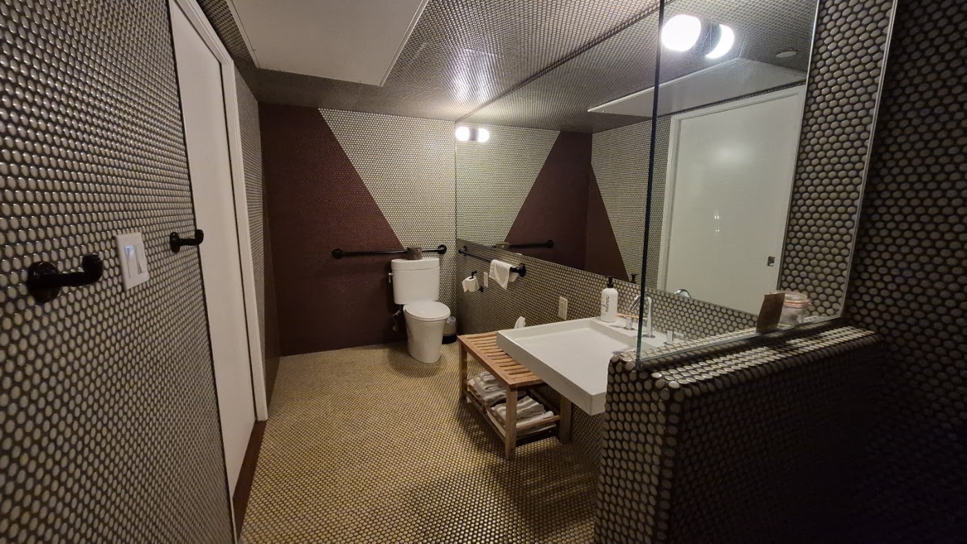 Ace Hotel and Swim Club, dog-friendly hotel, photo 4