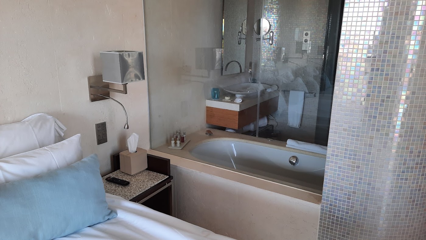 Aguas de Ibiza Grand Luxe Hotel, dog-friendly hotel, photo 4