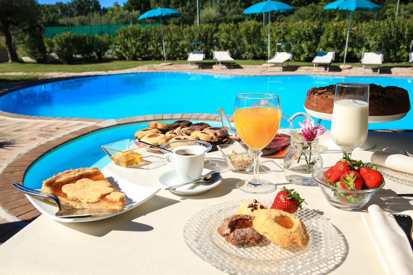 Alghero Resort Country Hotel & Spa, dog-friendly hotel, photo 3