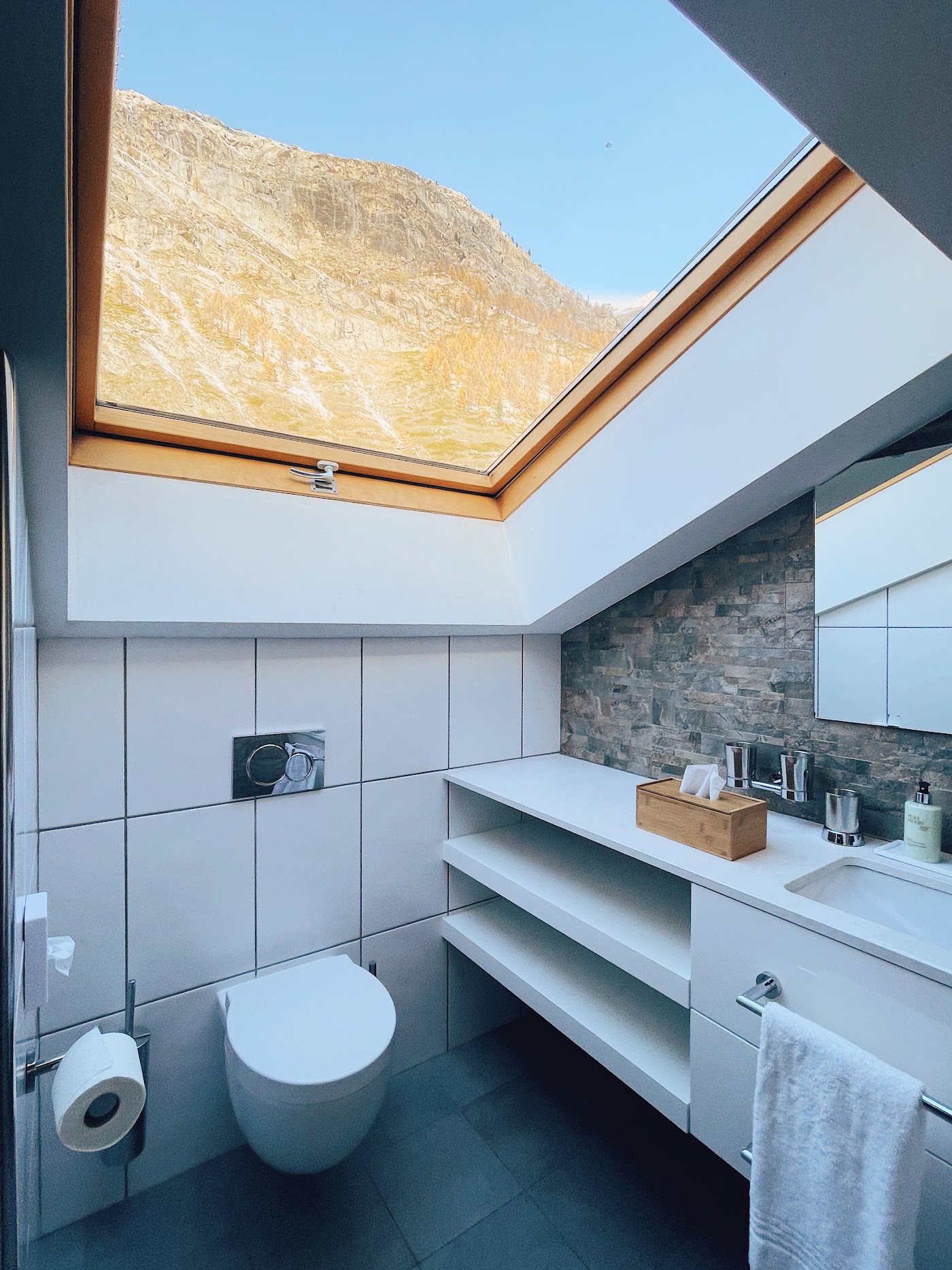 Alpen Resort & Spa Zermatt, dog-friendly hotel, photo 4