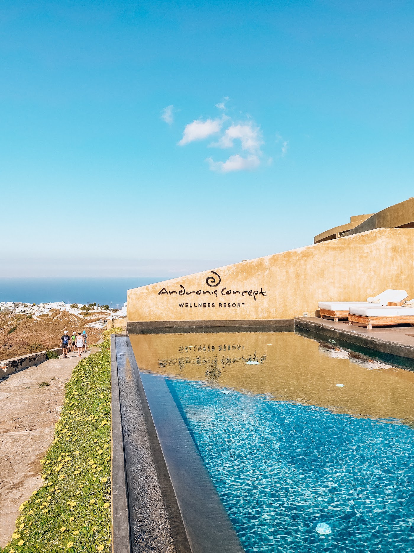 Andronis Concept Wellness Resort, dog-friendly hotel, photo 3