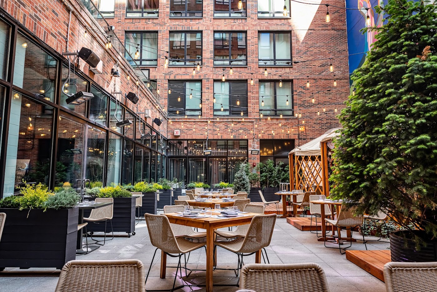 Arlo SoHo, dog-friendly hotel, photo 5
