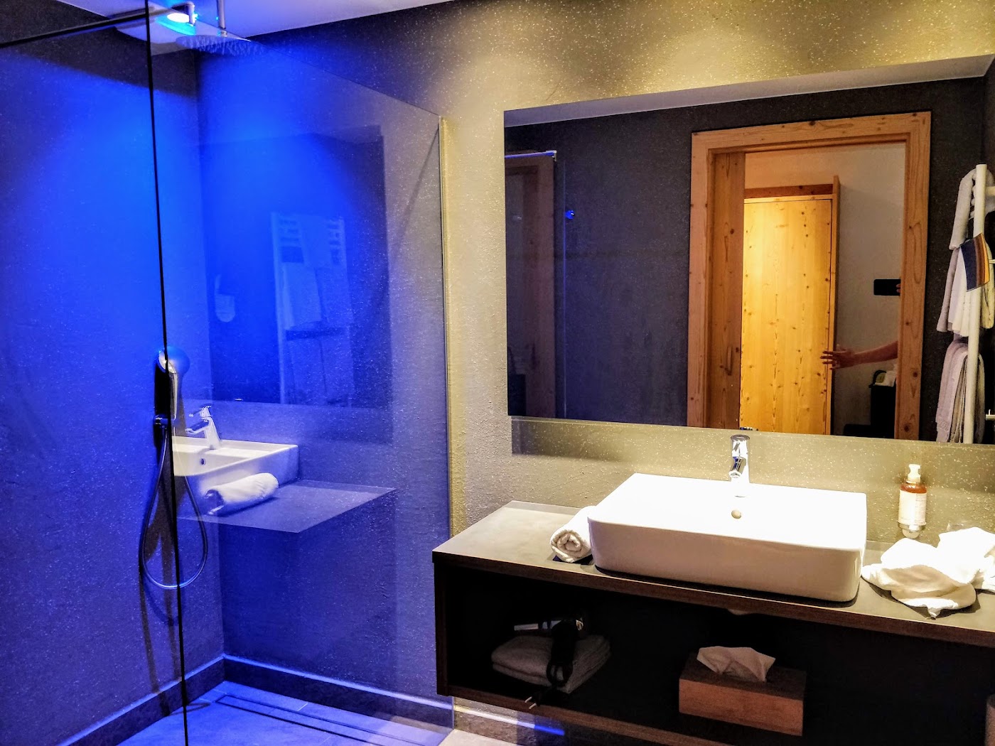 Artnatur Dolomites Hotel & Spa, dog-friendly hotel, photo 4