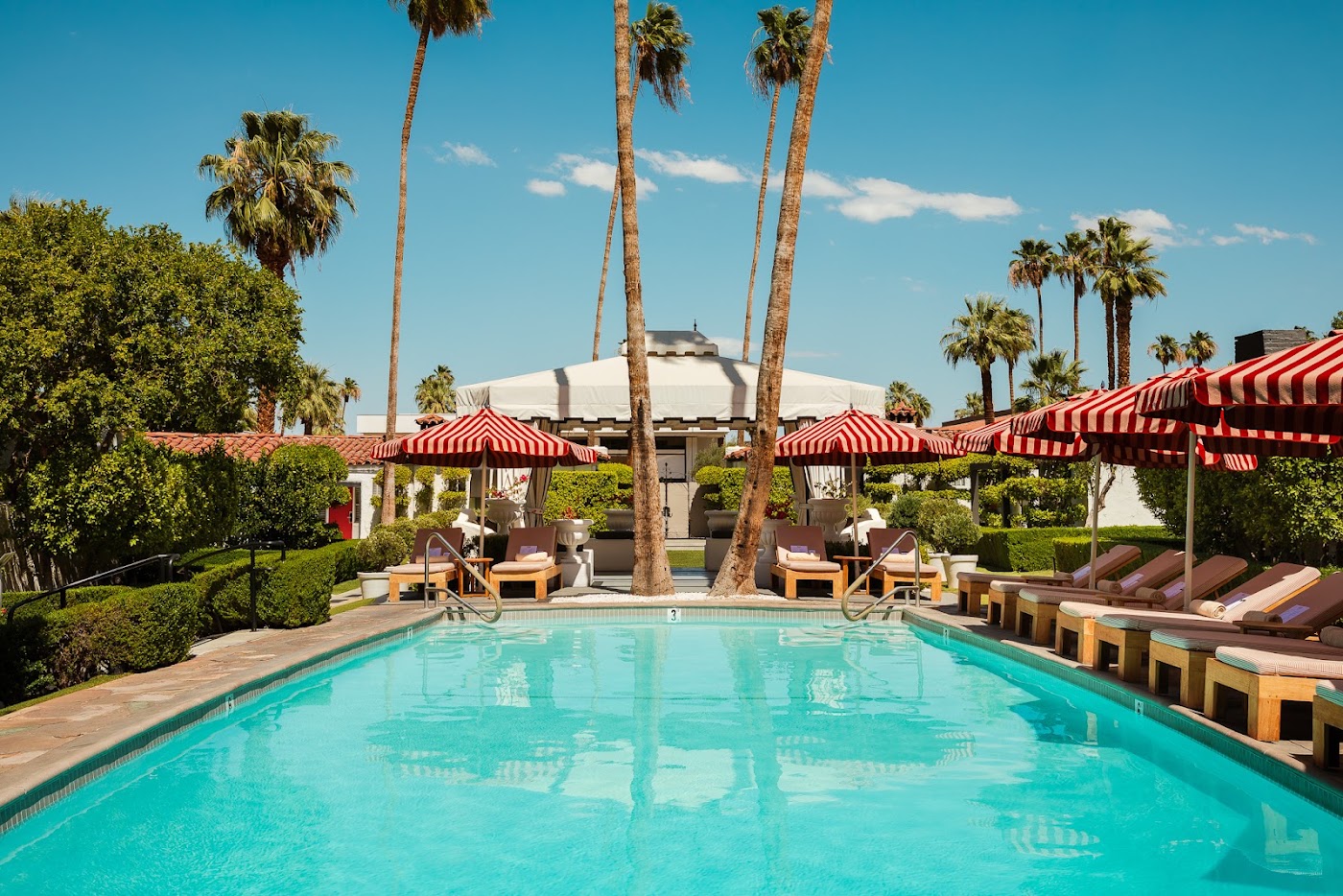 Avalon Hotel & Bungalows Palm Springs, dog-friendly hotel, photo 3