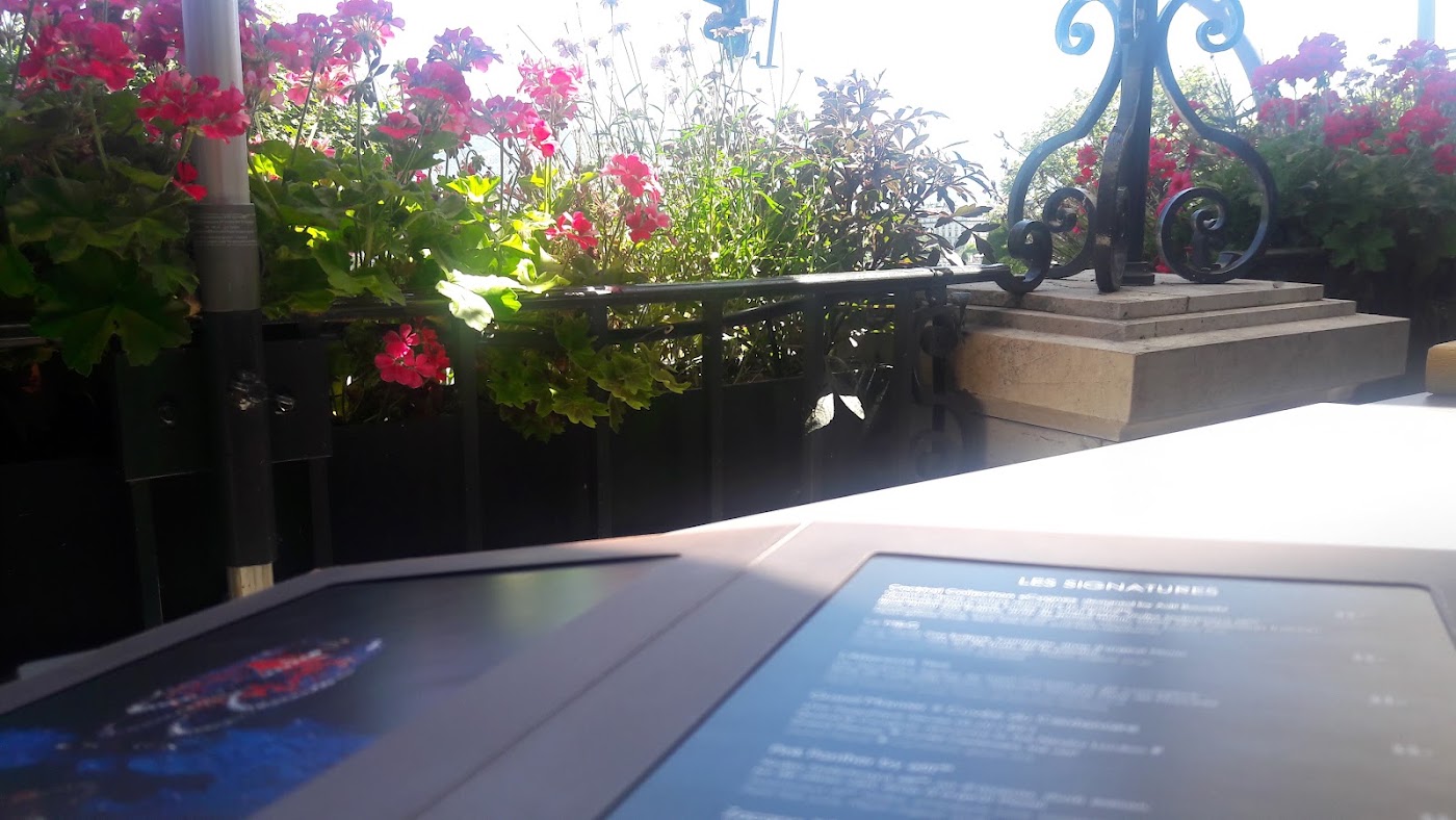 Beau-Rivage Genève, dog-friendly hotel, photo 3