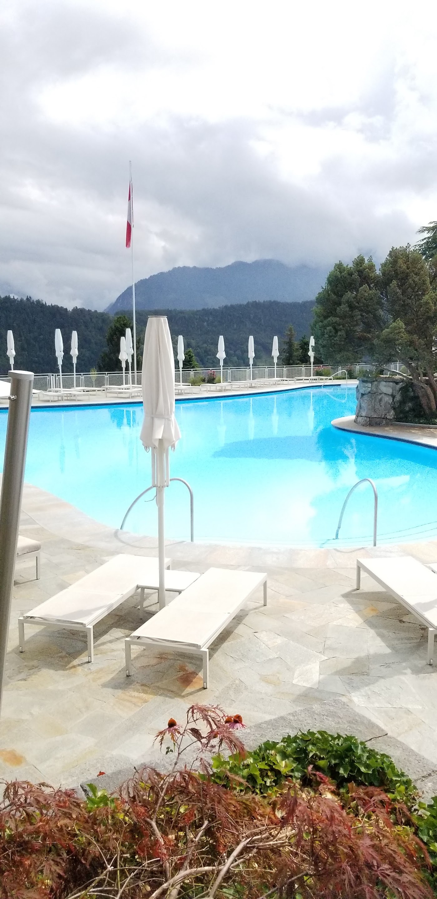 Bürgenstock Hotels & Resort – Taverne 1879, dog-friendly hotel, photo 3