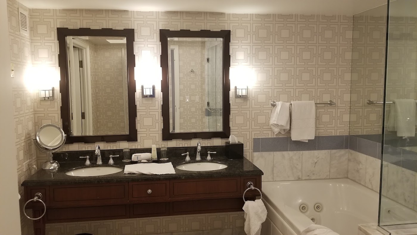 Caesars Palace, dog-friendly hotel, photo 3