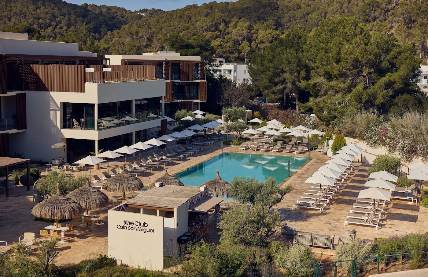 Cala San Miguel Ibiza Resort, Curio Collection by Hilton, dog-friendly hotel, photo 5