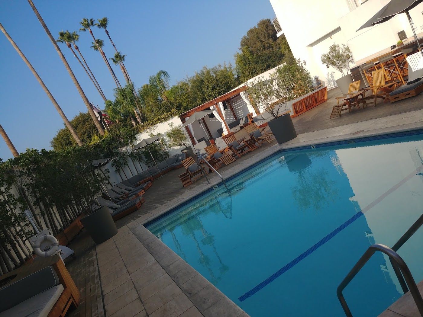 Cameo Beverly Hills, dog-friendly hotel, photo 3