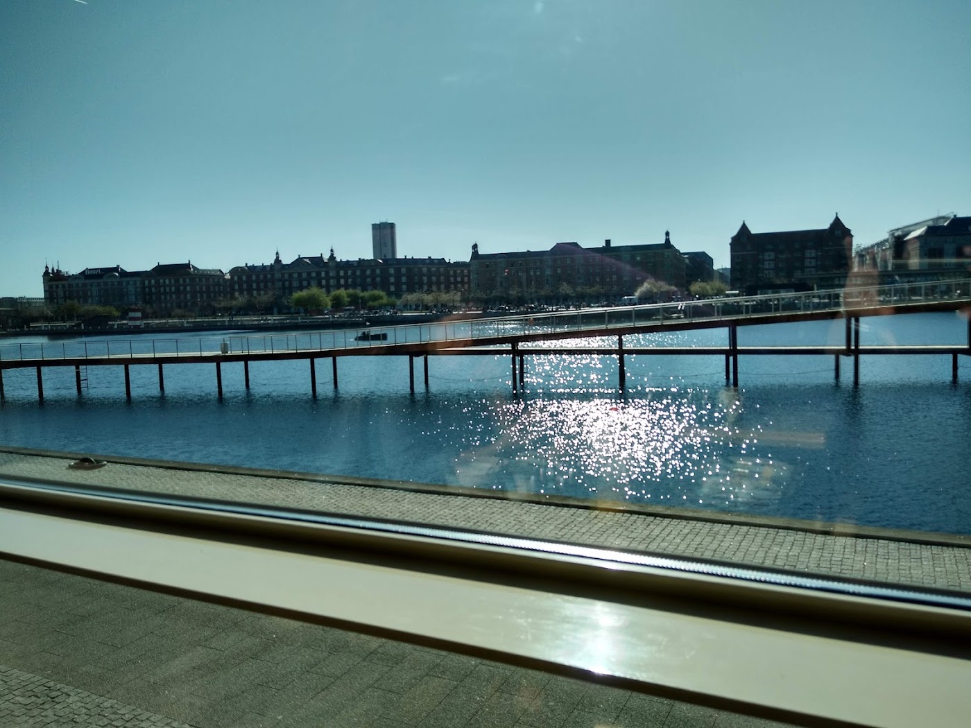 Copenhagen Marriott Hotel, dog-friendly hotel, photo 3