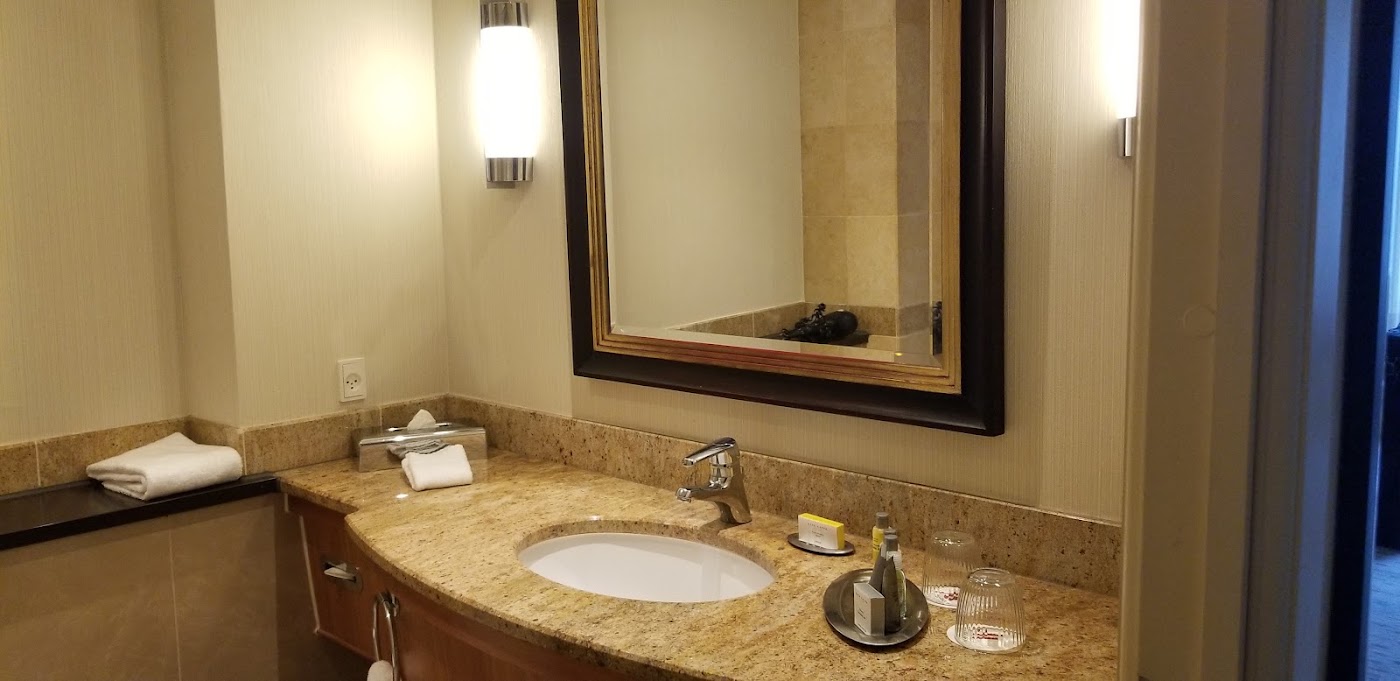 Copenhagen Marriott Hotel, dog-friendly hotel, photo 4
