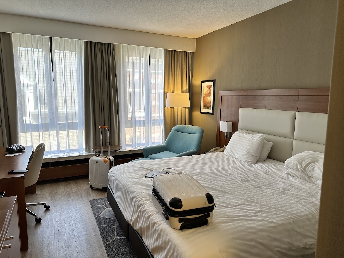 Crowne Plaza Maastricht, dog-friendly hotel, photo 2