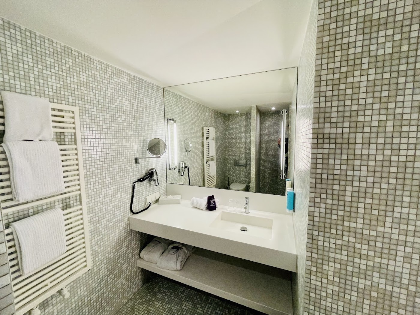 Empire Riverside Hotel, dog-friendly hotel, photo 4