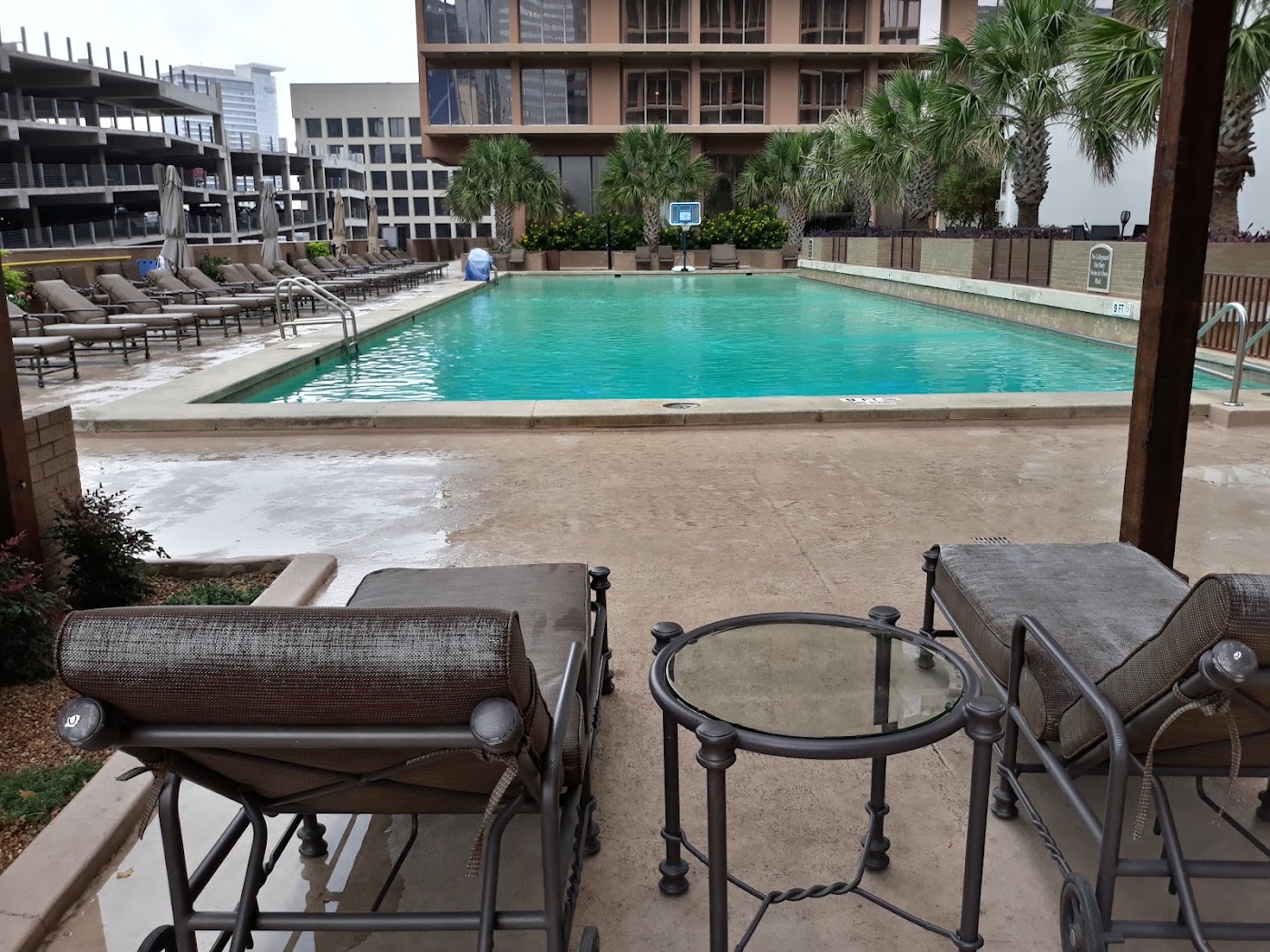 Fairmont Dallas, dog-friendly hotel, photo 3