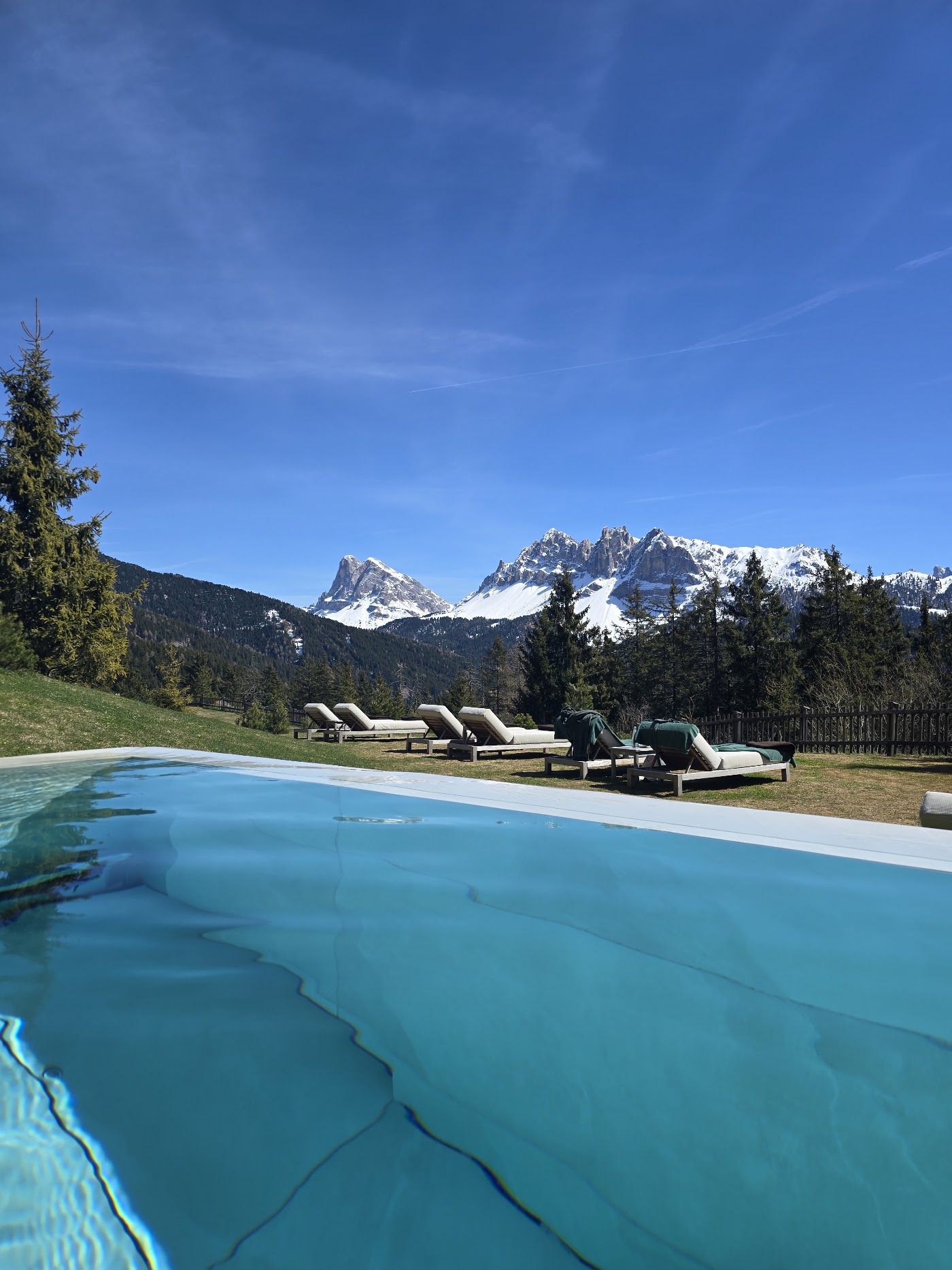 Forestis Dolomites, dog-friendly hotel, photo 3