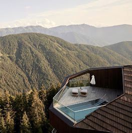 Forestis Dolomites, dog-friendly hotel, photo 5