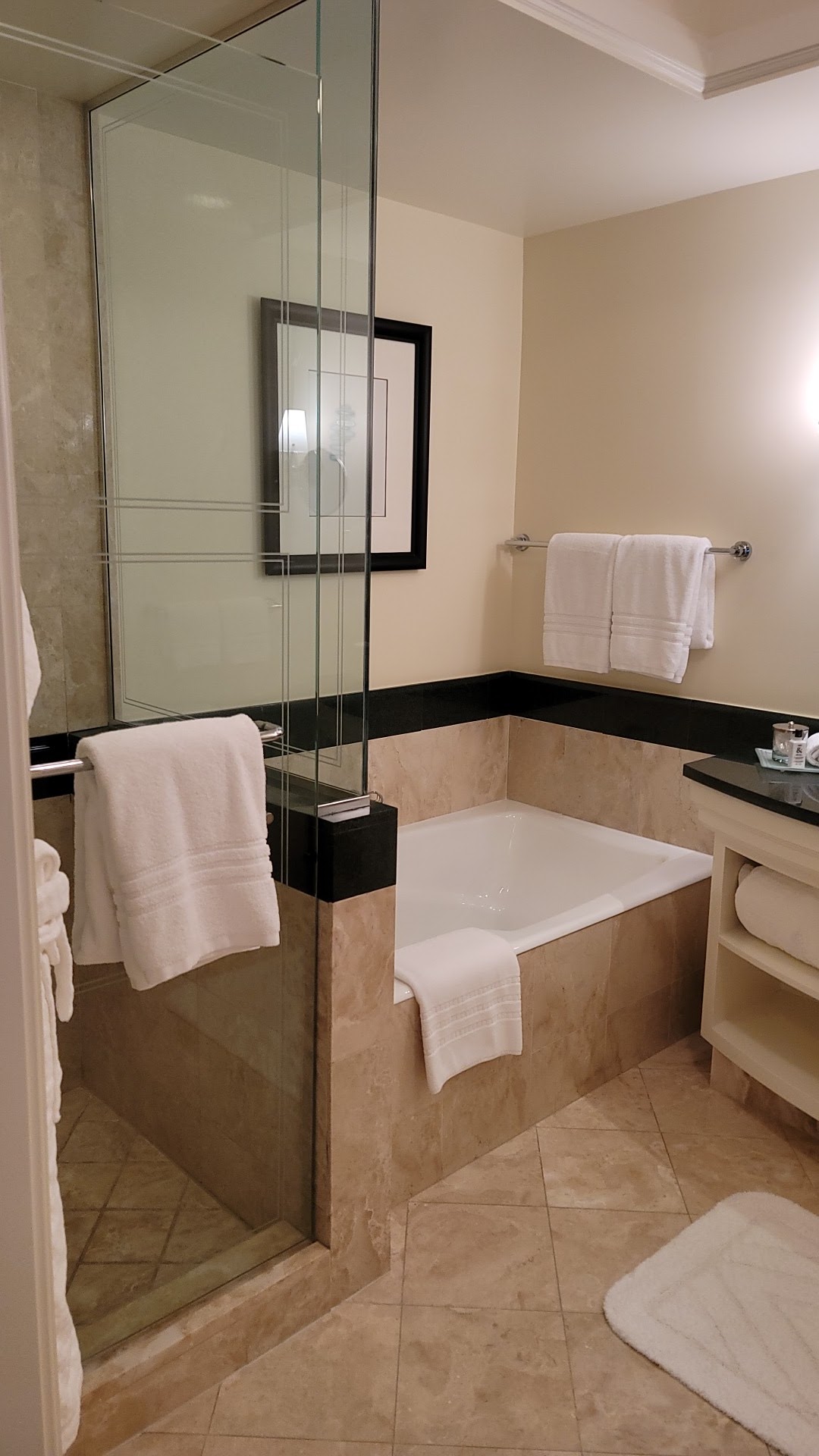 Four Seasons Hotel Miami, dog-friendly hotel, photo 4