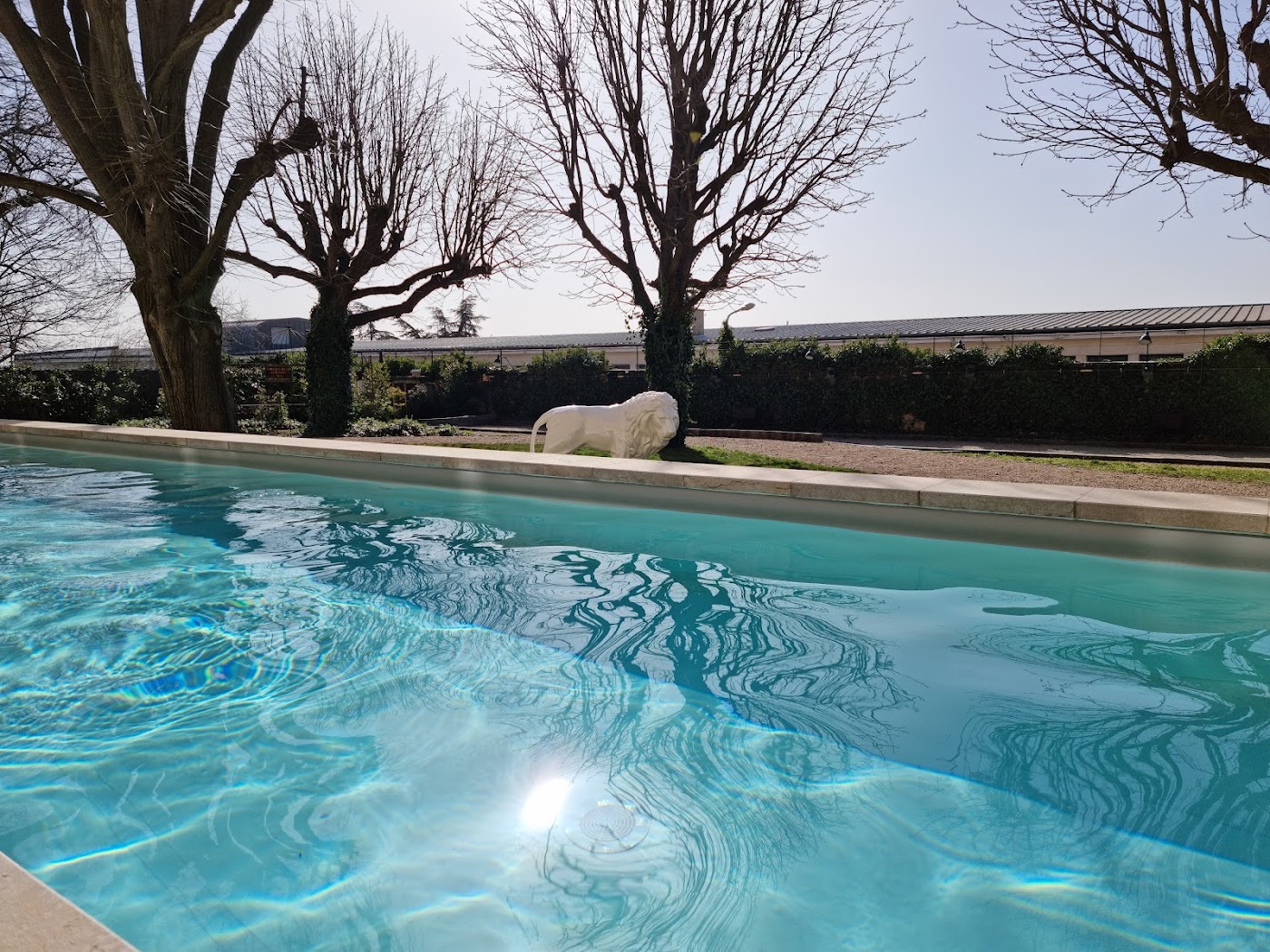 Fourvière Hôtel, dog-friendly hotel, photo 3