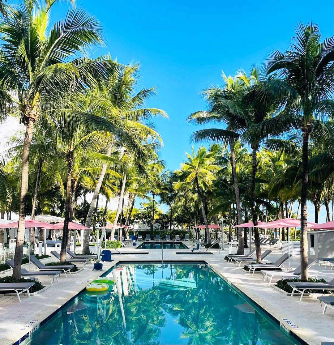 Grand Beach Hotel Miami Beach, dog-friendly hotel, photo 5