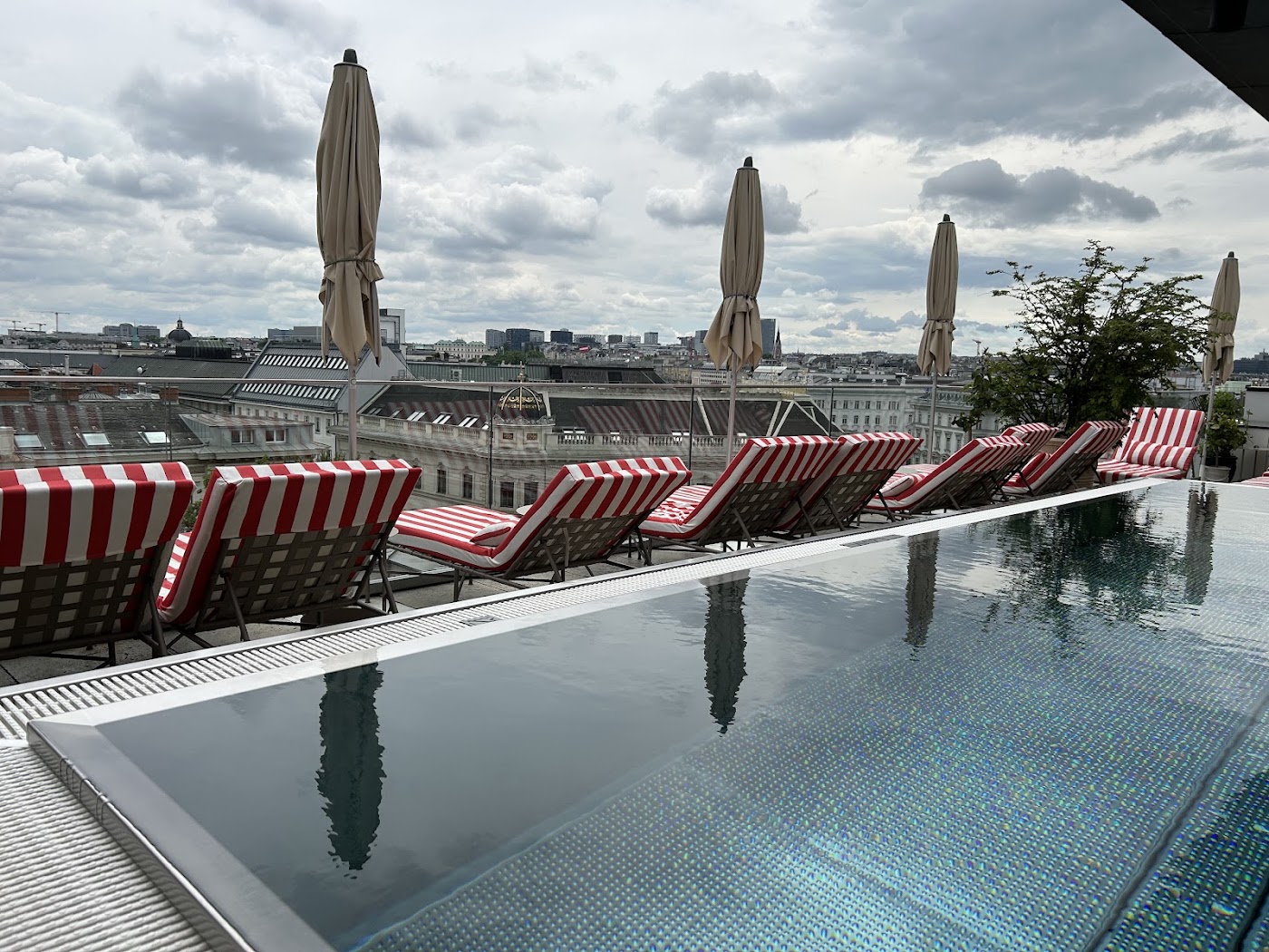 Grand Ferdinand, dog-friendly hotel, photo 3