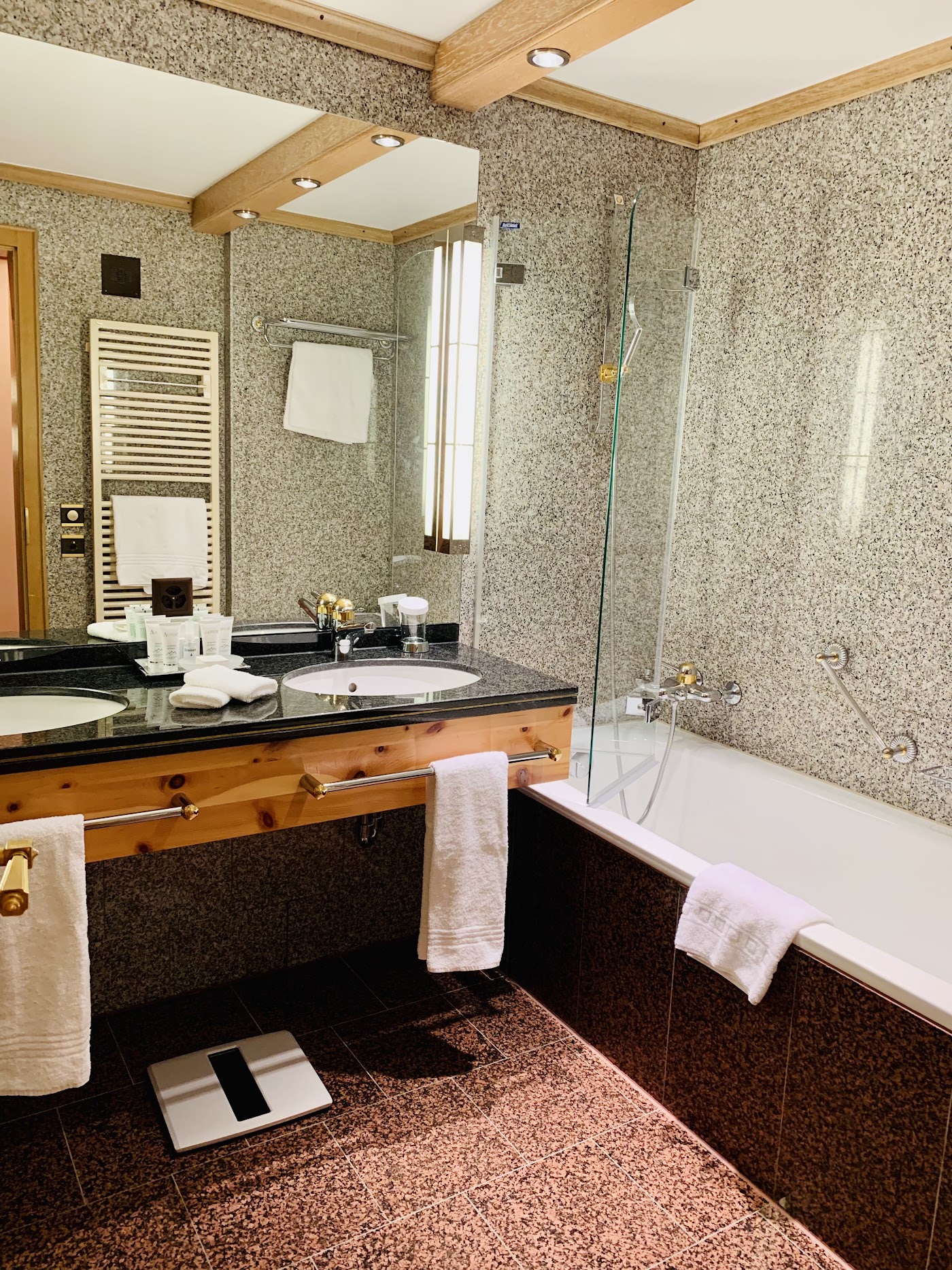 Grand Hotel Zermatterhof, dog-friendly hotel, photo 4