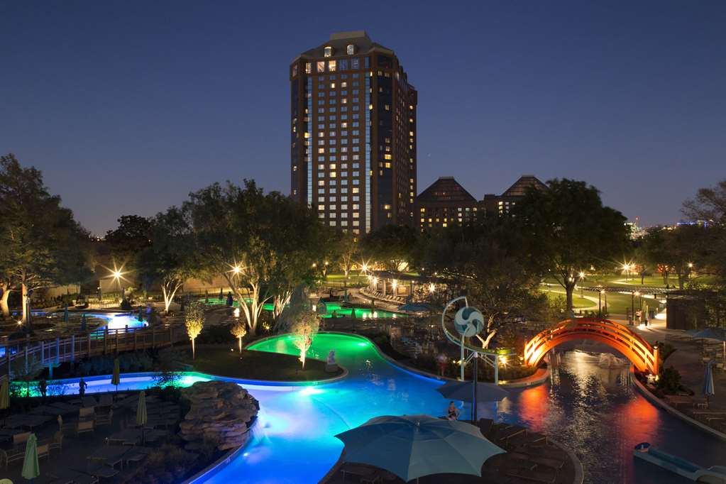 Hilton Anatole, dog-friendly hotel, photo 4