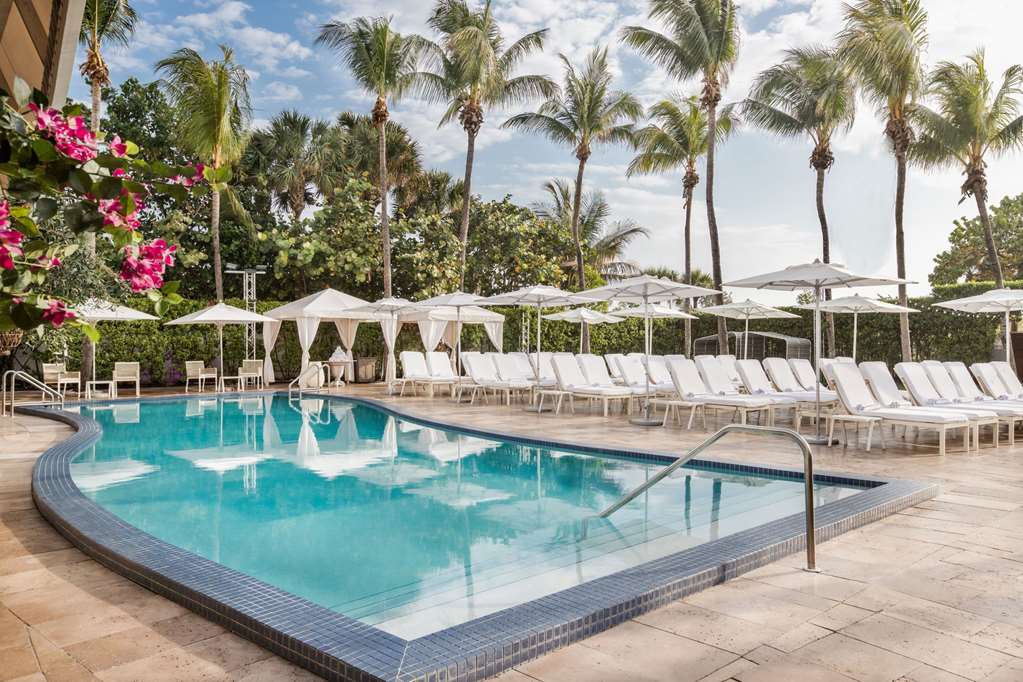 Hilton Bentley Miami South Beach, dog-friendly hotel, photo 3