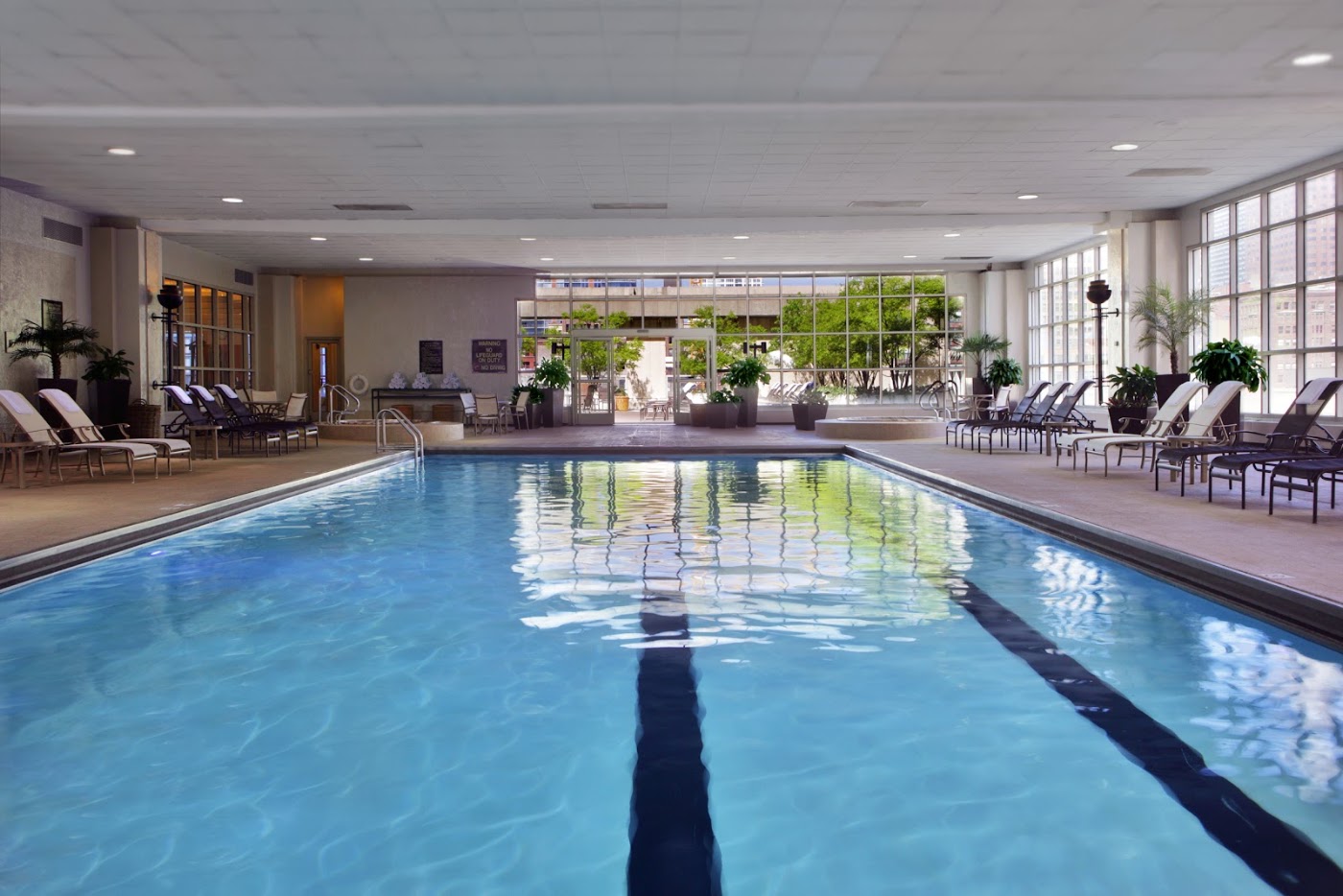 Hilton Chicago, dog-friendly hotel, photo 3