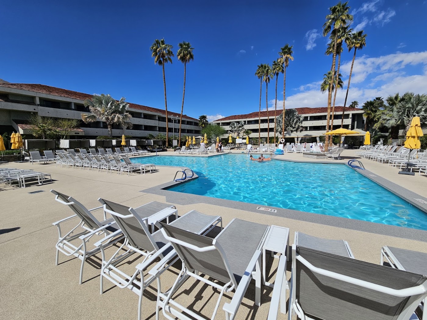 Hilton Palm Springs Resort, dog-friendly hotel, photo 3