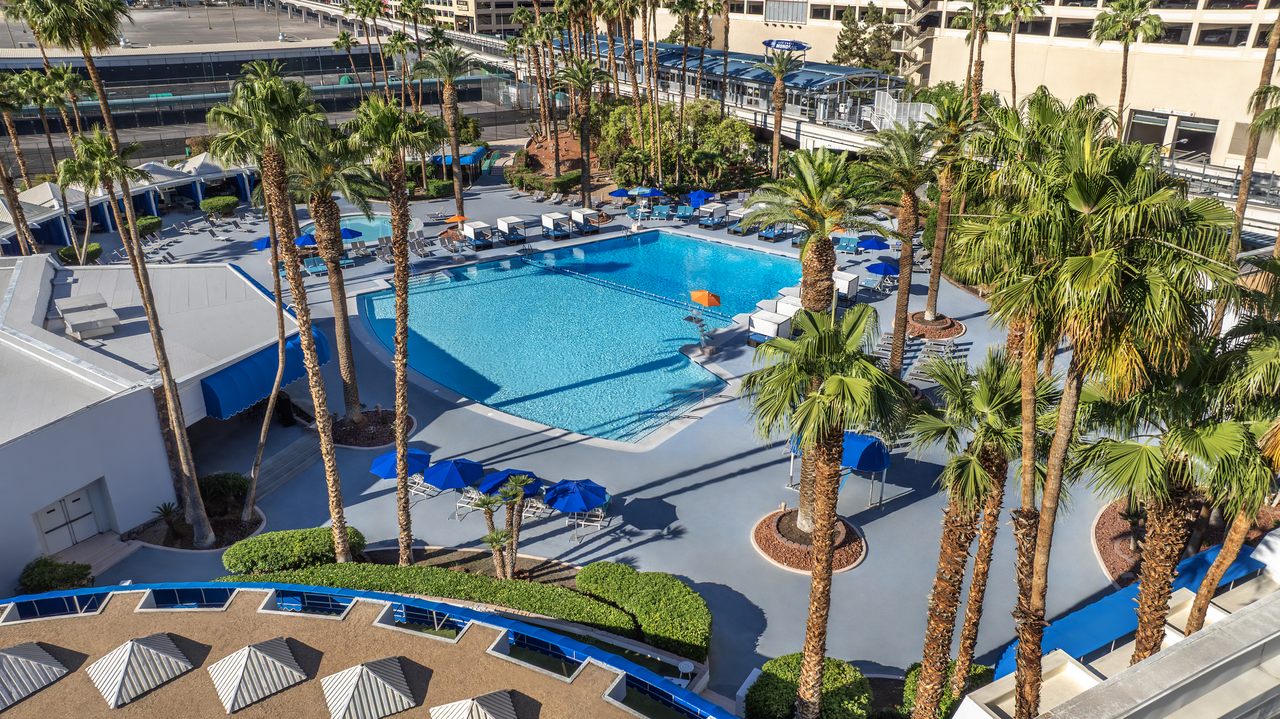 Horseshoe Las Vegas, dog-friendly hotel, photo 3