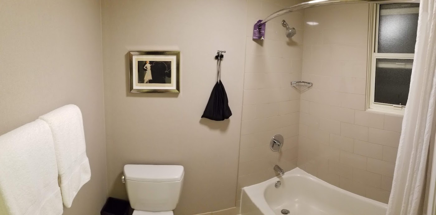 Hotel Adagio, dog-friendly hotel, photo 3