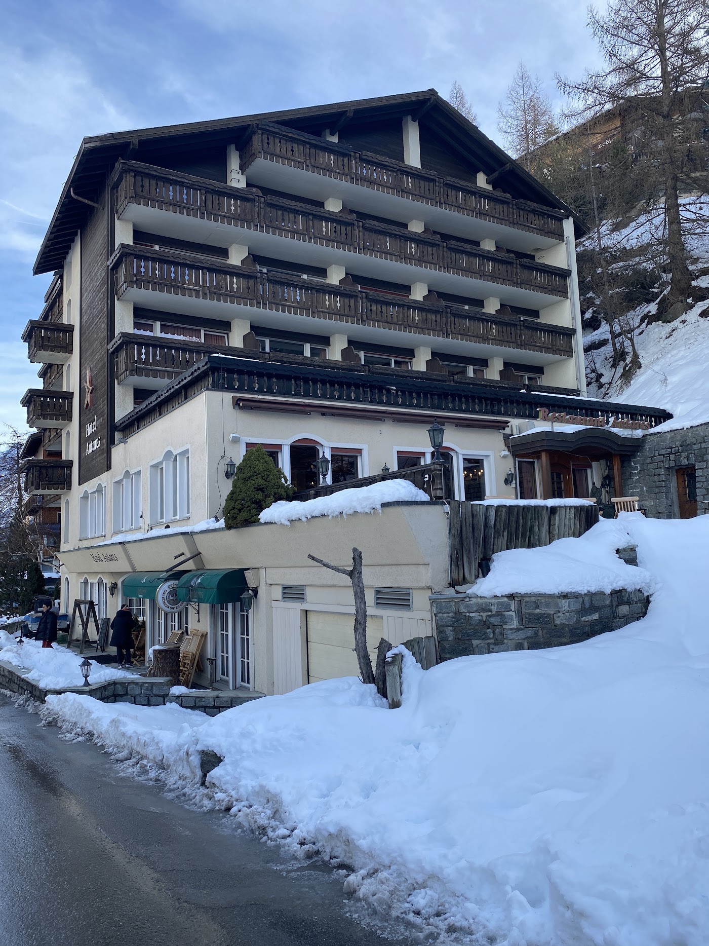Hotel Antares, dog-friendly hotel, photo 5
