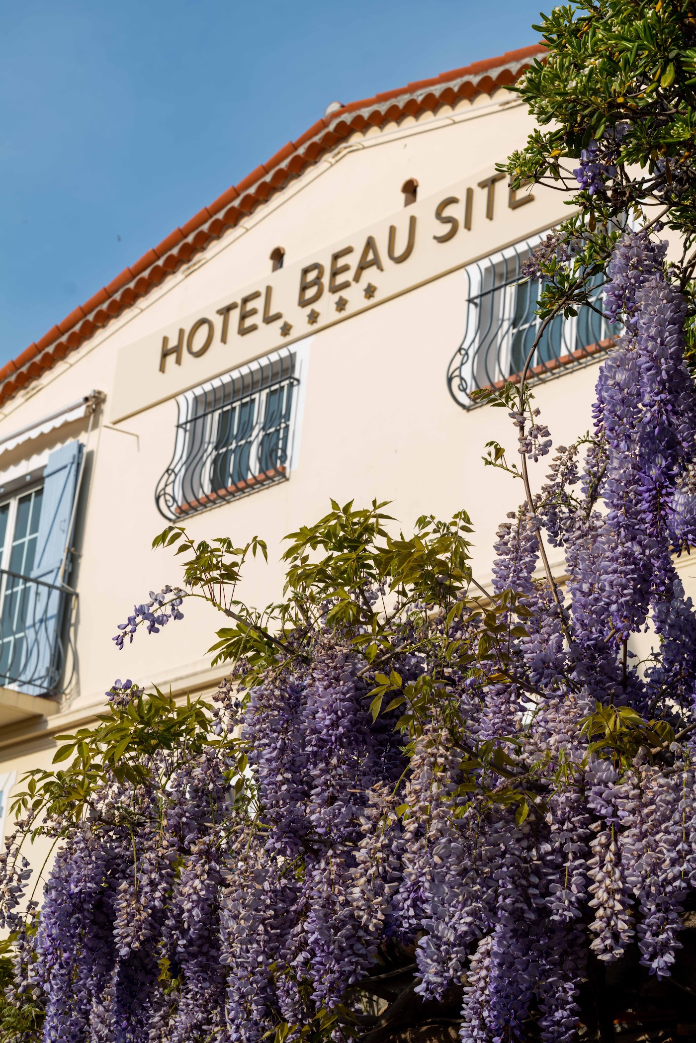 Hôtel Beau Site - Cap d'Antibes, dog-friendly hotel, photo 4