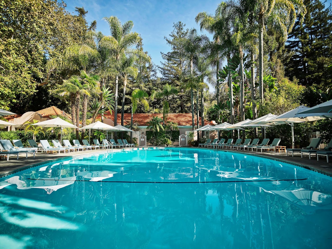 Hotel Bel-Air, dog-friendly hotel, photo 3